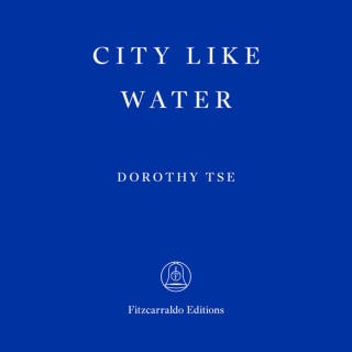 City Like Water (Unabridged)