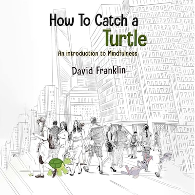 How to Catch a Turtle – omslag til lydbogen af David S Franklin