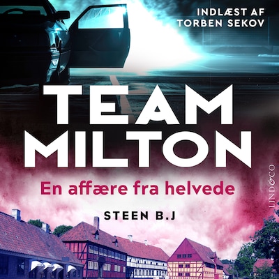 En affære fra helvede – omslag til lydbogen af Steen B. J.