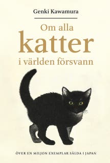 Om alla katter i världen försvann