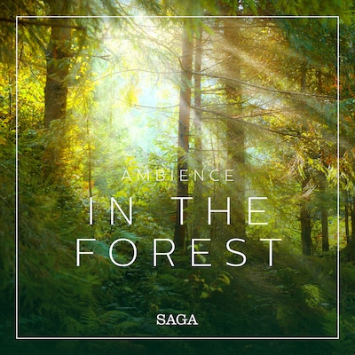 Ambience - In the Forest