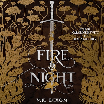 Fire & Night – omslag til lydbogen af V.K. Dixon
