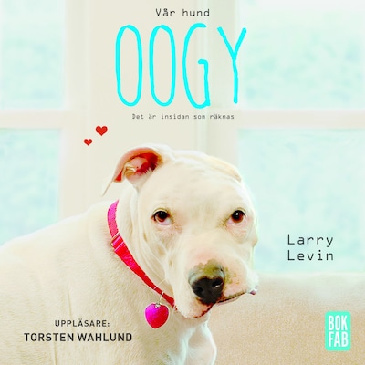 Vår hund Oogy