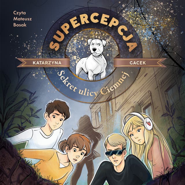 Supercepcja. Sekret ulicy Ciemnej