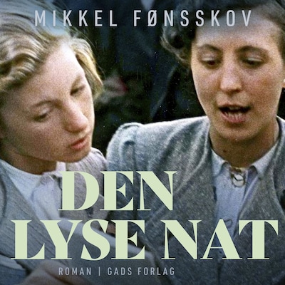 Den lyse nat – omslag til lydbogen af Mikkel Fønsskov