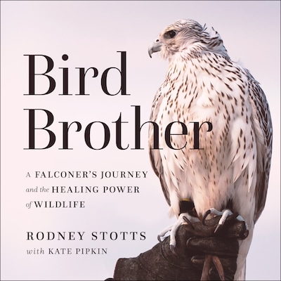 Bird Brother – omslag til lydbogen af Rodney Stotts