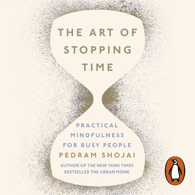 The Art of Stopping Time – omslag til lydbogen af Pedram Shojai