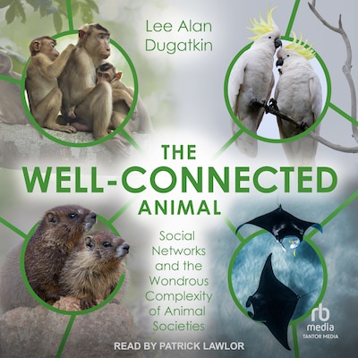 The Well-Connected Animal – omslag til lydbogen af Lee Alan Dugatkin