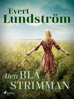 Den blå strimman – omslag till ljudboken av Evert Lundström