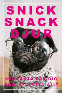 Snick Snack Djur – omslag till ljudboken av Nicotext Förlag