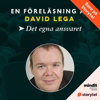 Det egna ansvaret