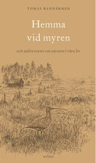 Hemma vid myren : och andra texter om naturen i våra liv