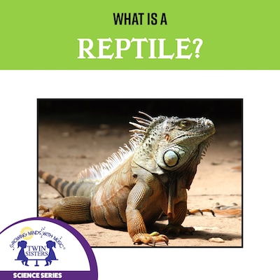 What Is A Reptile?