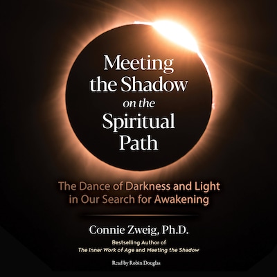 Meeting the Shadow on the Spiritual Path