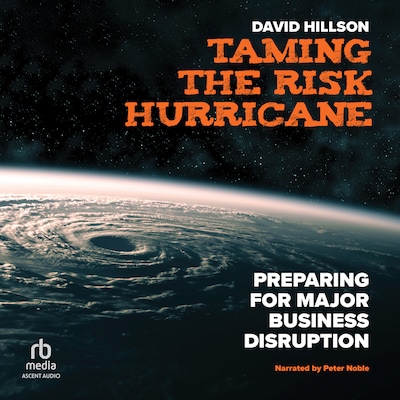 Taming the Risk Hurricane – omslag til lydbogen af David Hillson