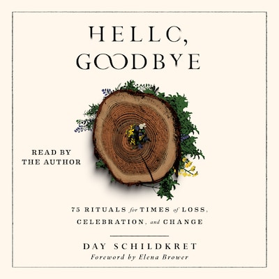 Hello, Goodbye – omslag til lydbogen af Day Schildkret