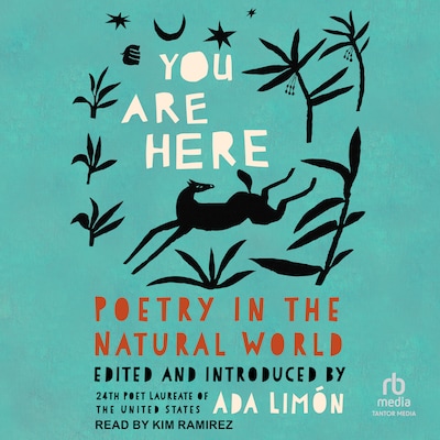 You Are Here – omslag til lydbogen af Unknown Author