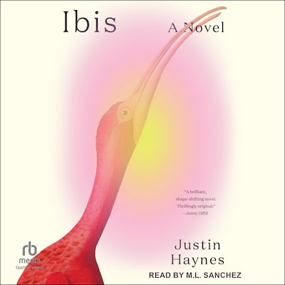 Ibis – omslag til lydbogen af Justin Haynes