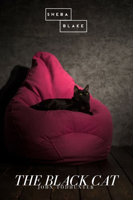 The Black Cat – omslag til lydbogen af John Todhunter