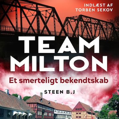 Et smerteligt bekendtskab – omslag til lydbogen af Steen B. J.