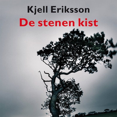 De stenen kist