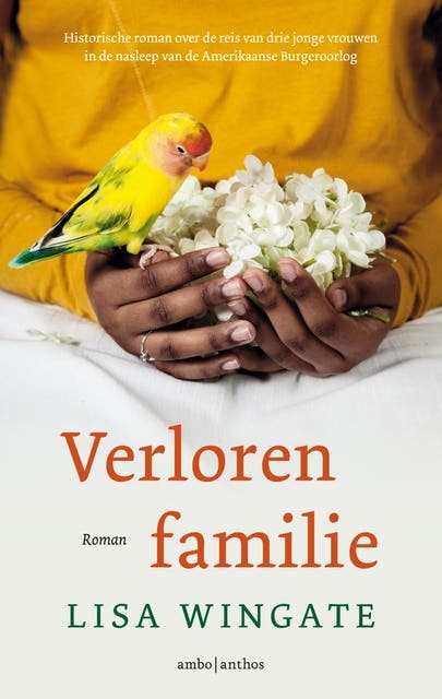 Verloren familie – omslag van het luisterboek van Lisa Wingate