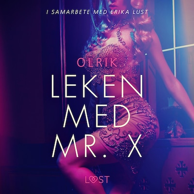 Leken med Mr. X - erotisk novell
