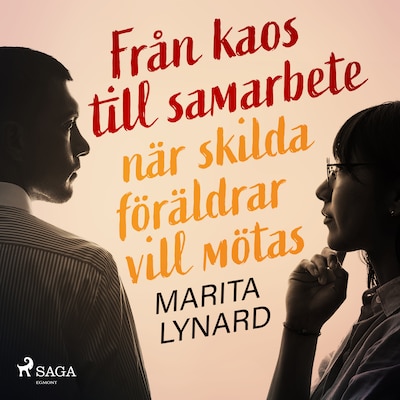 Från kaos till samarbete: när skilda föräldrar vill mötas