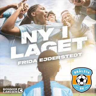 Ny i laget