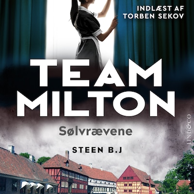 Sølvrævene – omslag til lydbogen af Steen Buus Johannesen, Steen B. J.