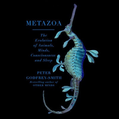 Metazoa