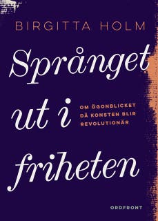 Språnget ut i friheten – omslag till ljudboken av Birgitta Holm