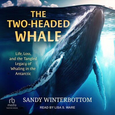 The Two-Headed Whale – omslag til lydbogen af Sandy Winterbottom