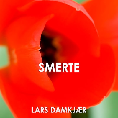 Smerte – omslag til lydbogen af Lars Damkjær