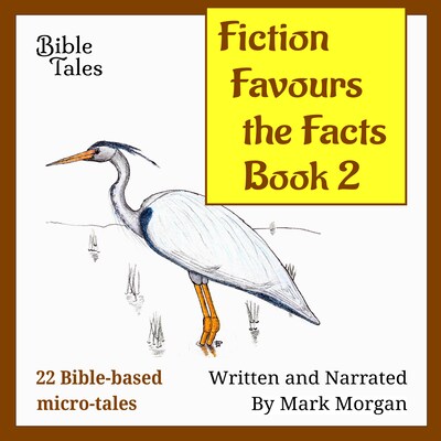 Fiction Favours the Facts – Book 2 – omslag til lydbogen af Mark Morgan