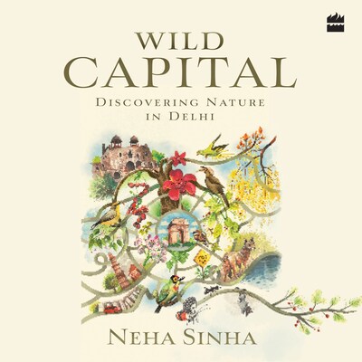 Wild Capital – omslag til lydbogen af Neha Sinha