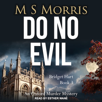 Do No Evil – omslag til lydbogen af M S Morris