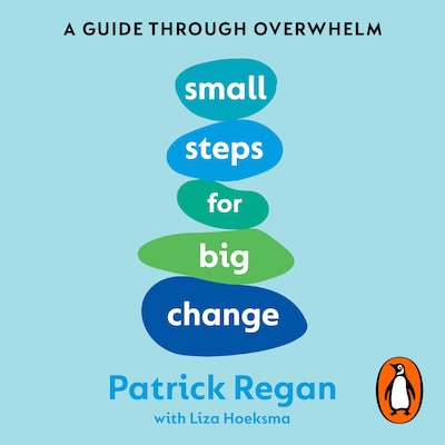 Small Steps for Big Change – omslag til lydbogen af Patrick Regan