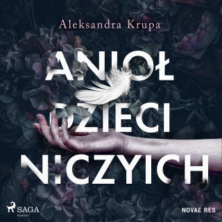 Anioł dzieci niczyich – okładka audiobooka, autor Aleksandra Krupa