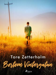 Bortom Vintergatan