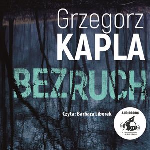 Bezruch – okładka audiobooka, autor Grzegorz Kapla