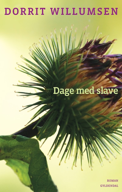 Dage med slave – omslag til lydbogen af Dorrit Willumsen