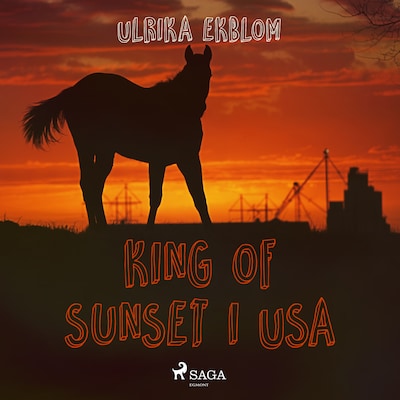King of Sunset i USA