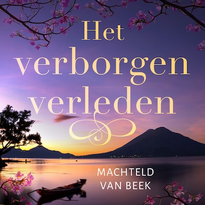 Het verborgen verleden