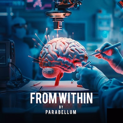 From Within – omslag til lydbogen af Parabellum