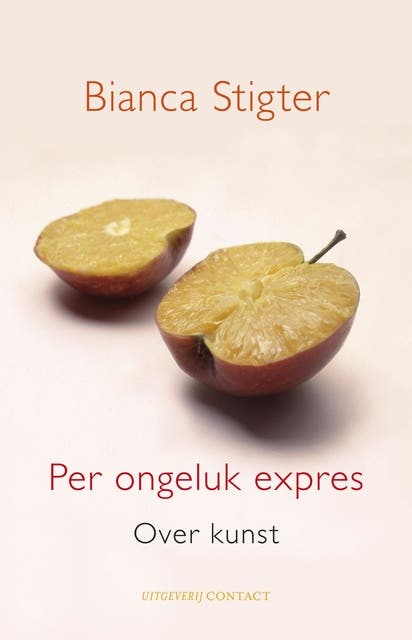 Per ongeluk expres: over kunst – omslag van het luisterboek van Bianca Stigter