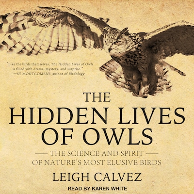 The Hidden Lives of Owls – omslag til lydbogen af Leigh Calvez