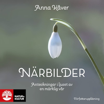 Närbilder : Anteckningar i ljuset av en märklig vår