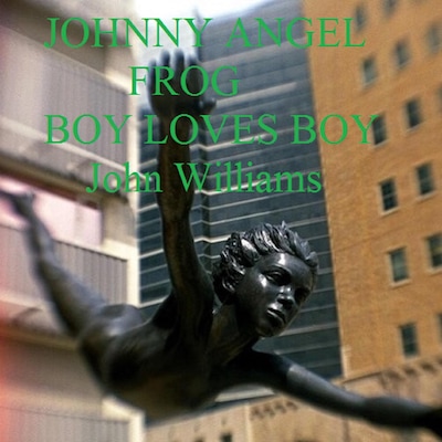 Johnny Angel Frog Boy Loves Boy – omslag til lydbogen af John Williams