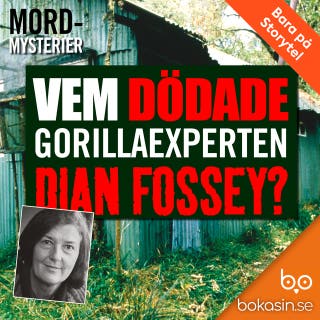 Vem dödade gorillaexperten Dian Fossey?